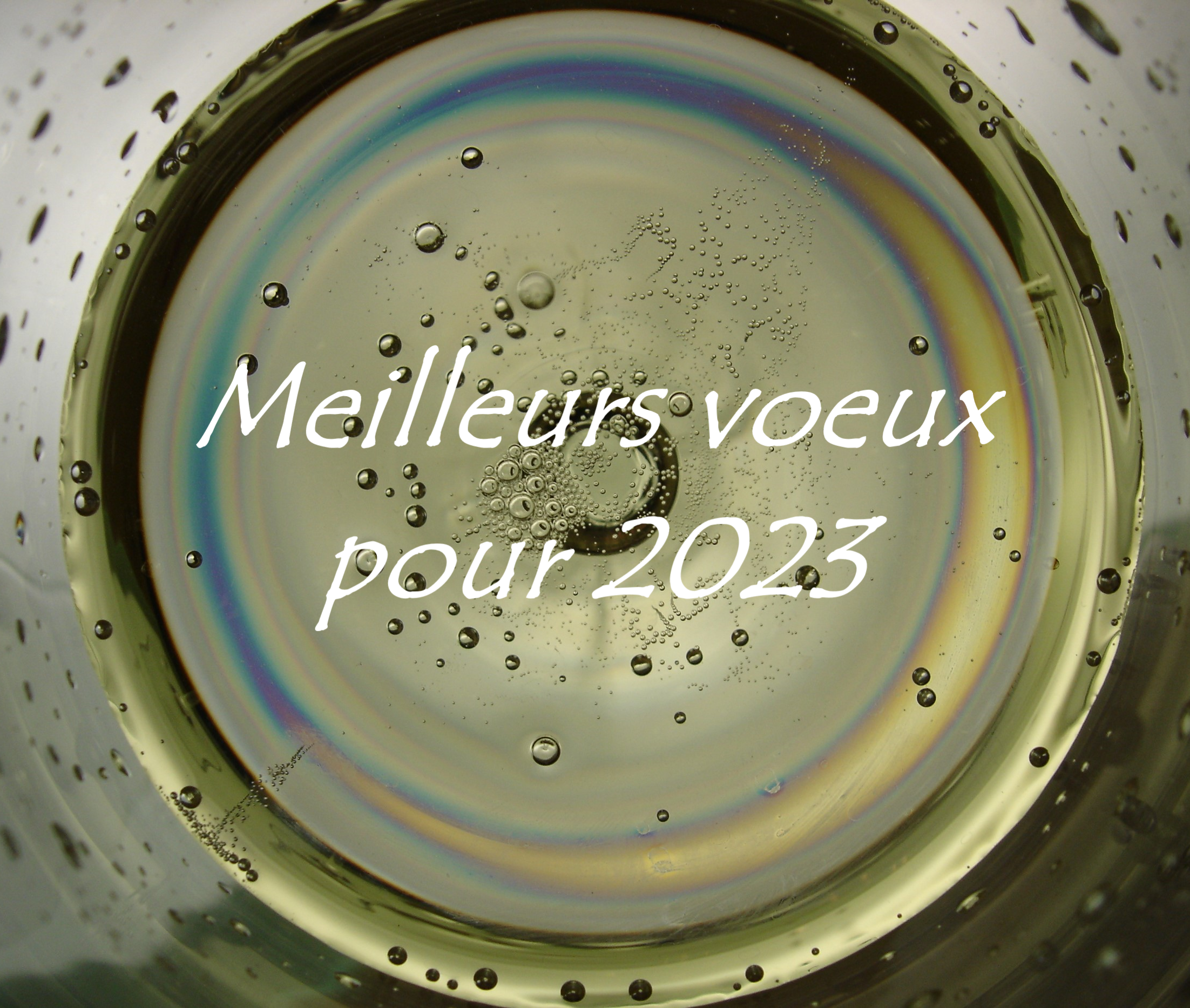 voeux-2023-bis