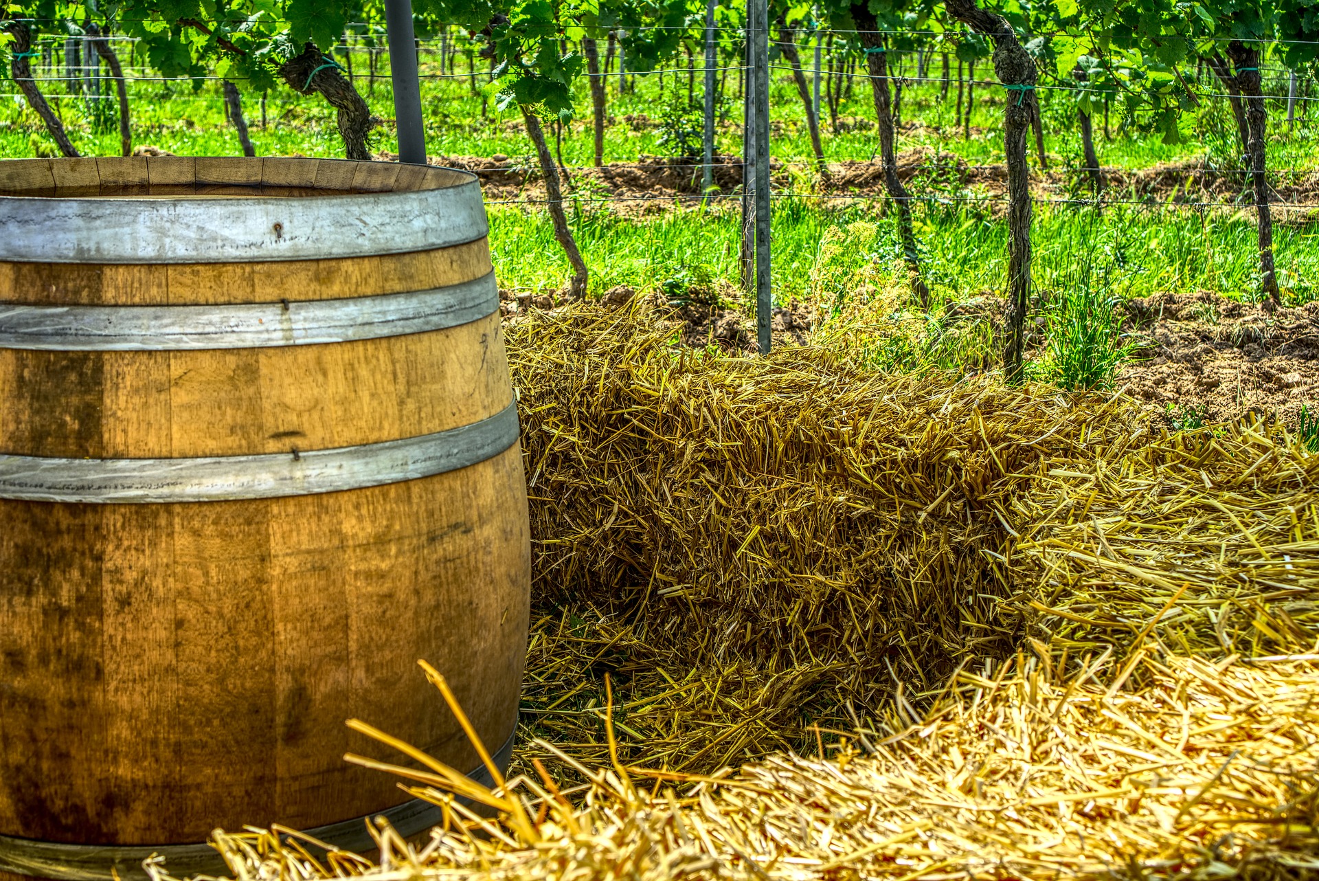 wine-barrel-3436793-1920